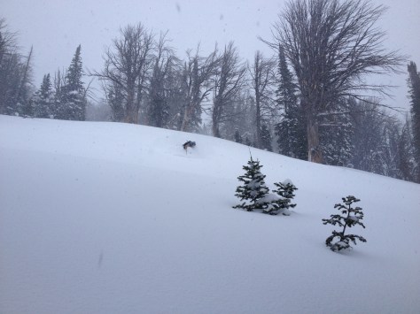 It was pretty deep for November