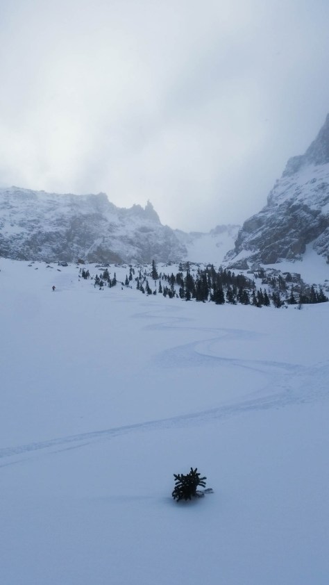 Powder Fields Forever.