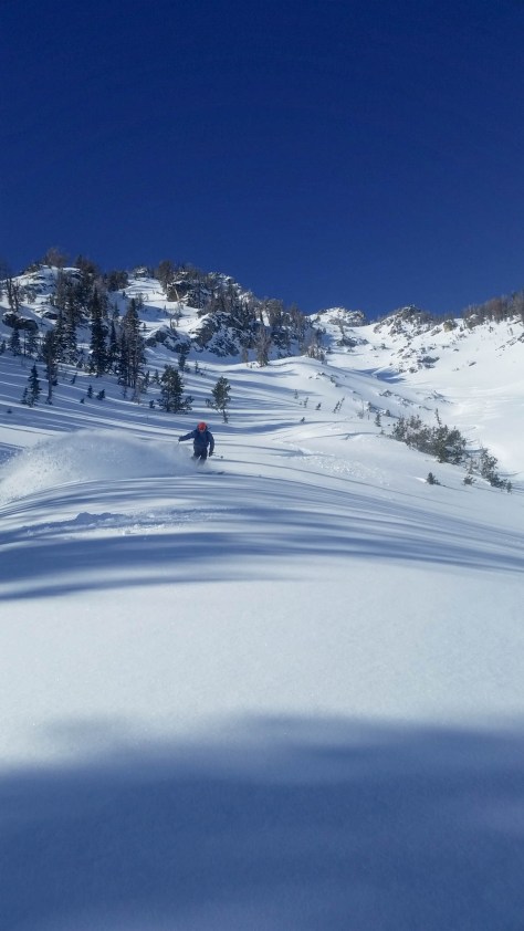 Dane, milking the turns