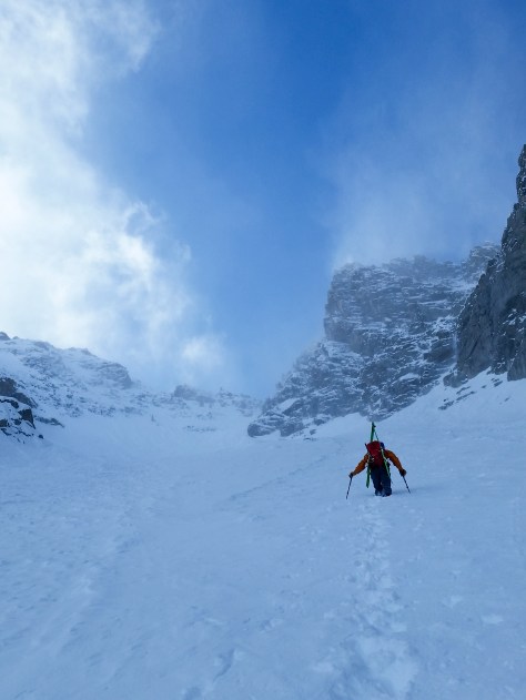Tristan, doing his best to break trail.